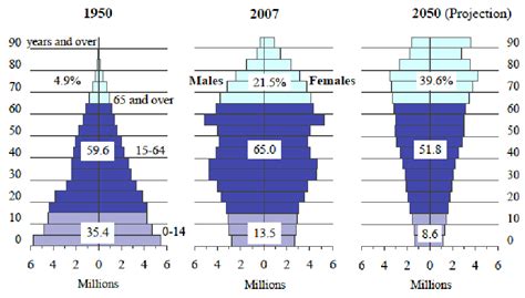 Japanese Population Pyramid