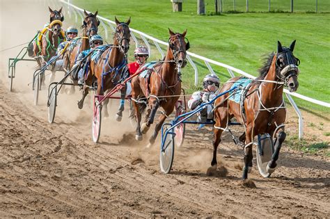 Harness racing could return here next year | TimesChronicle.ca