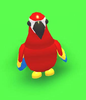 Roblox Parrot Adopt Me Wallpaper