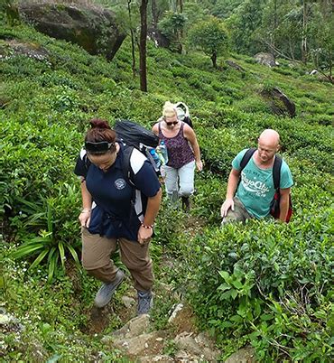 Trekking & Hiking Tours in Sri Lanka | Best of Lanka