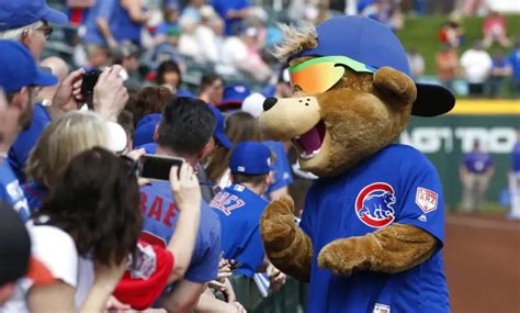 Clark the Cub Voted Best Mascot by MLB Fans