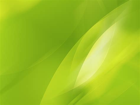 🔥 [45+] Lime Green Wallpapers | WallpaperSafari