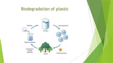 Biodegradation