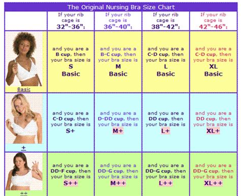 Dd Breast Size Chart – Telegraph