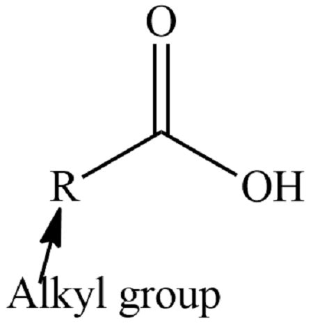 Draw the structure of the carboxyl group, -COOH. Show how a molecule containing the carboxyl ...