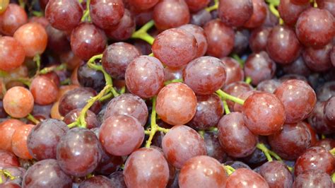 Purple Seedless Grapes Full HD Wallpaper and Background Image | 1920x1080 | ID:560233