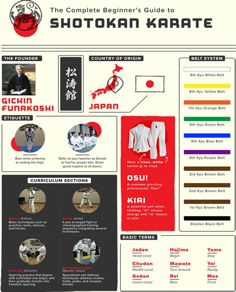 The Complete Beginner’s Guide to Shotokan Karate – Global Martial Arts University