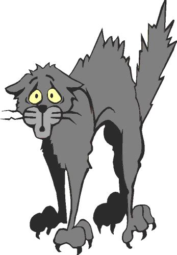 Free Scared Cat Cliparts, Download Free Scared Cat Cliparts png images, Free ClipArts on Clipart ...