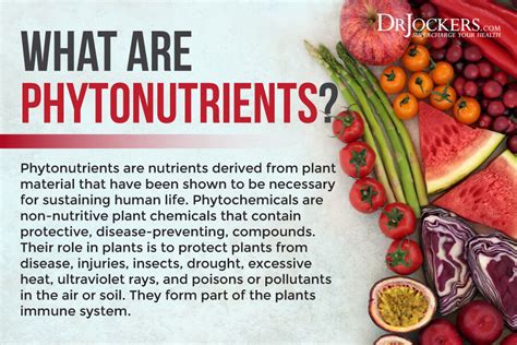 Phytonutrients: What Are They, Benefits and Sources