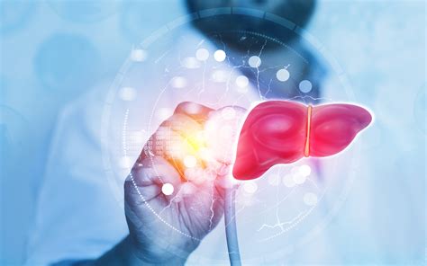 An In-Depth Look at Fibrosis and How to Treat Fatty Liver Disease ...