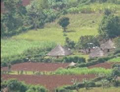 Kisii Tribe - Abagusii People of Kenya: Their History and Culture | Kenya, Favorite places, Places