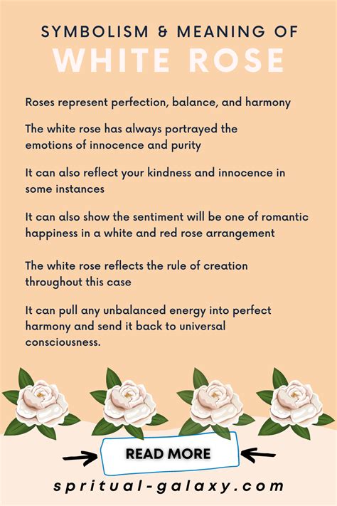 White Rose Meaning & Symbolism: Complete Guide! | Rose meaning, White ...