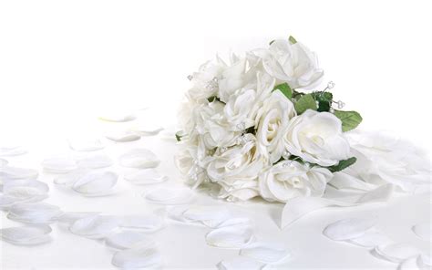 White Roses Desktop Wallpaper - Wallpaper, High Definition, High ...