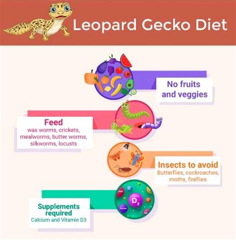 Leopard Gecko Diet: What Do Leopard Geckos Eat—or Not?