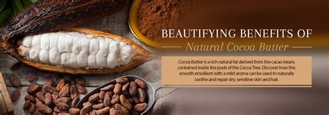 Cocoa Butter - Benefits & Uses for Ultimate Skin Care & Personal Care