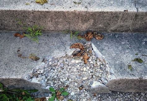 How To: Repair Concrete Steps | Repairing concrete steps, Concrete ...