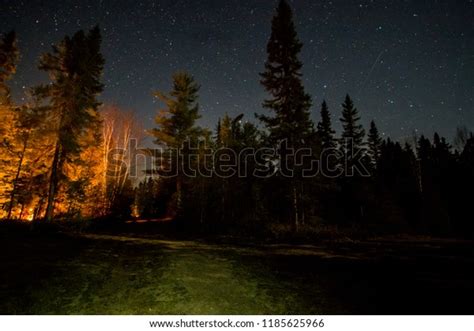 Camping Night Wood Sky Stars Stock Photo 1185625966 | Shutterstock