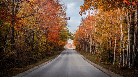 Wallpaper road, trees, autumn, nature, view hd, picture, image