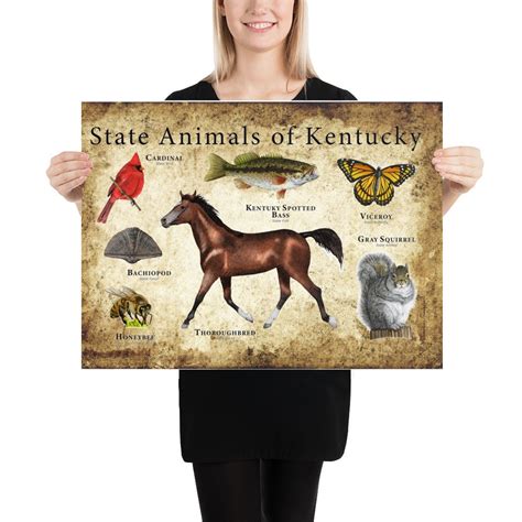 Kentucky State Animals Poster Print - Etsy