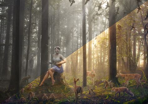 How to Create a Magical Forest Scene — Robert Cornelius