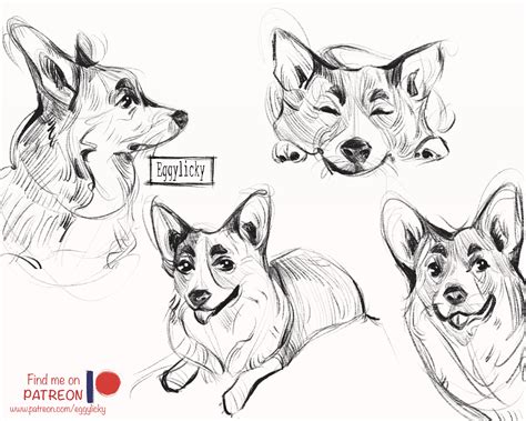 Corgi love | Behance