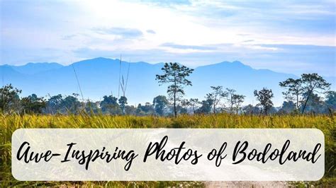 20 Stunning Photos Of Bodoland Assam To Inspire You To Explore This ...