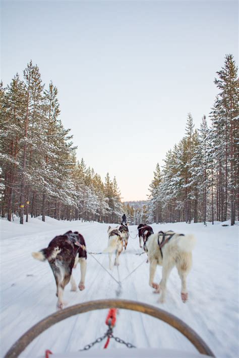 Why You Should Visit Lapland in Winter - thekittchen