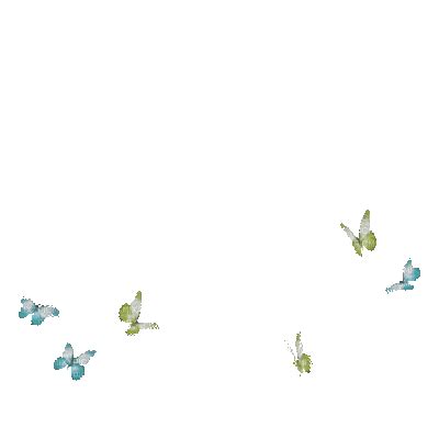 Animated butterflies transparent, butterflies , animated , transparent ...