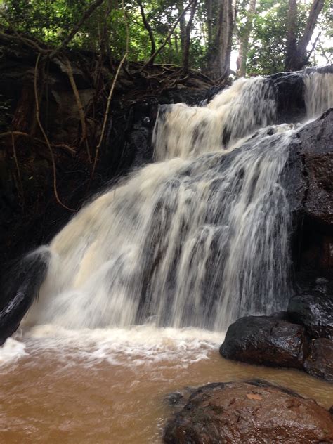 Karura Forest: A Sweet Escape - Of Chows and Dhows