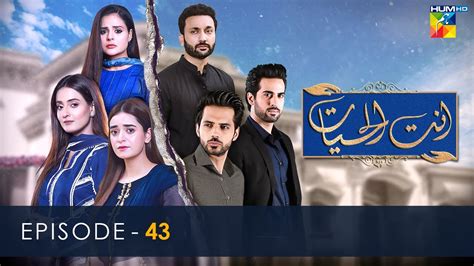 Ant Ul Hayat - Episode 43 - 15th September 2022 - HUM TV Drama - YouTube