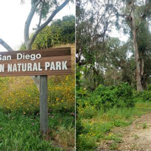 6 Best Trails & Hikes in La Jolla | Explore san diego, La jolla, Scenic