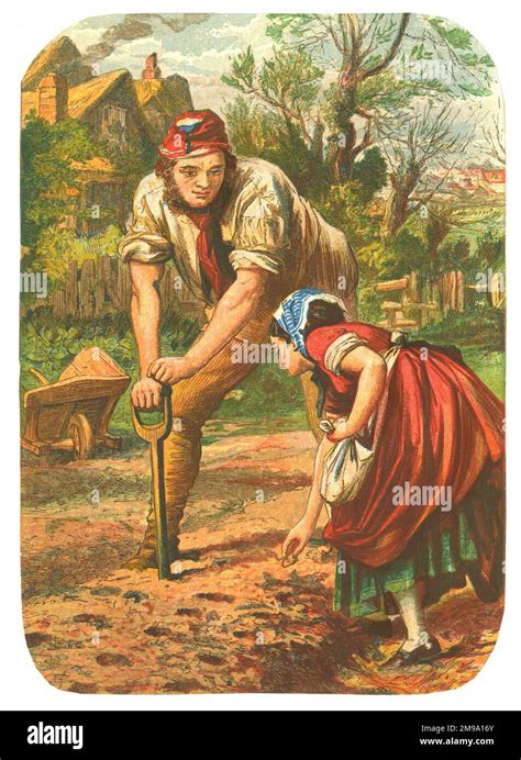 Woman planting Seeds, Man dibbling the holes -19th century print Stock ...