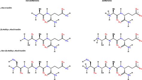 Dipeptide Molecule Sketch