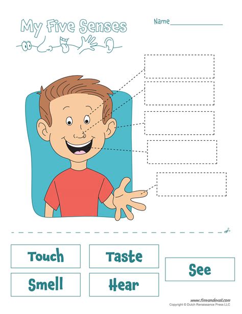 five-senses-worksheet - Tim's Printables