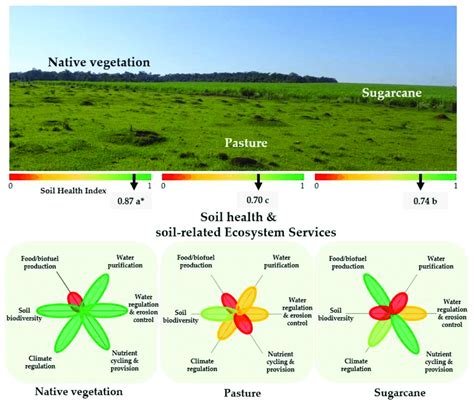 Soil health and soil-related ecosystem service responses to land-use ...