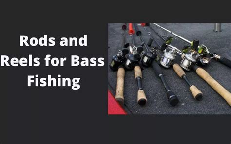 How to catch Big Bass - Fishing Tips for Largemouth Bass