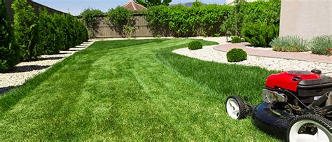 Lawn Care Services: Making Your Garden Look Its Best - Barrels Of Hope