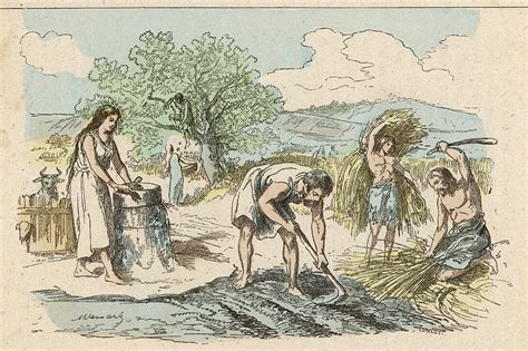 Iron Age Farming Activities Drawing by Mary Evans Picture Library