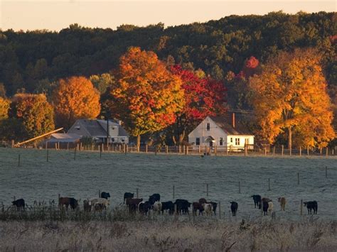 Autumn farm Backgrounds | Autumn Farm Scenes | farm pictures | Pinterest