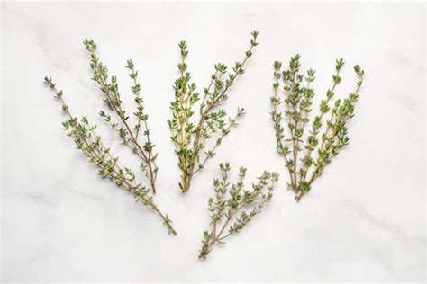 4 Sprigs Of Thyme Equals How Much Dried Thyme | Storables