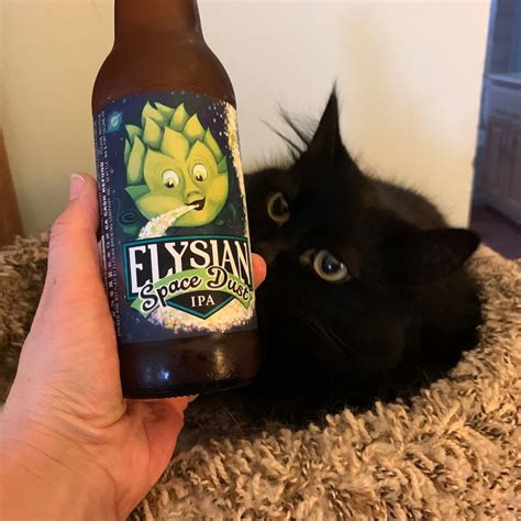 Elysian Space dust ipa Reviews | abillion