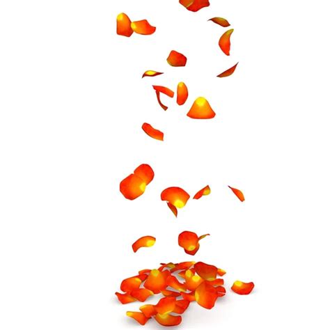 Orange rose petals flying on the floor — Stock Photo © injenerker ...