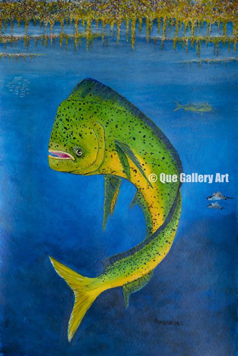 Mahi Mahi Turning Painting | Fine Art Home Decor | Que Gallery Art