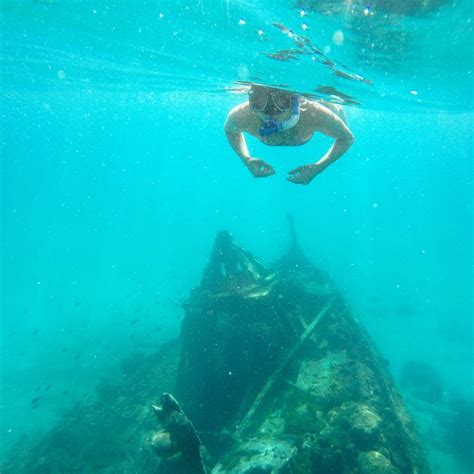 Snorkeling Through Shipwrecks in Barbados - Carrie Gillaspie ...