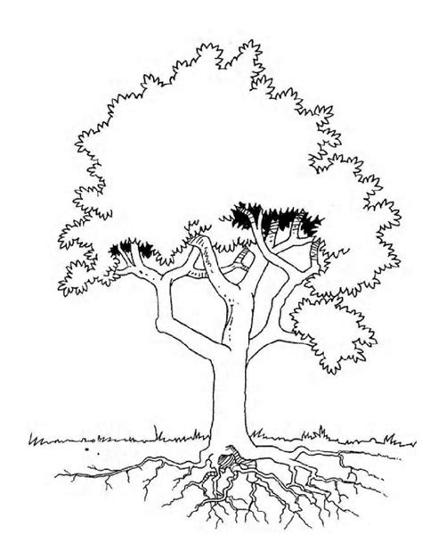 Kapok Tree Coloring Page - Coloring Home