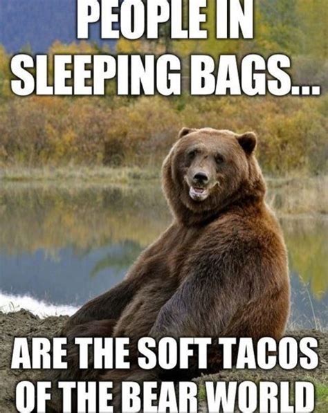 Funny Bear Pictures With Captions