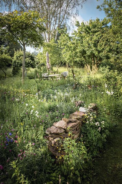 Meadow garden design ideas – Artofit