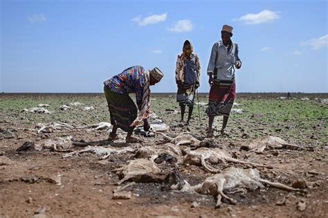 13 million face hunger as Horn of Africa drought worsens: UN