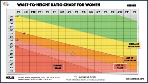 Waist-to-hip ratio: Reliable research shows if you need to lose weight