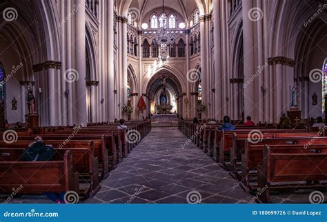 Interior of the Cathedral Church of Our Lady of Lourdes Editorial Photo ...